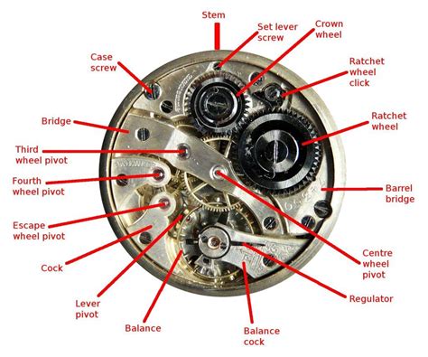 watch movement plate identification